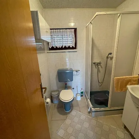 Apartment Bracic *